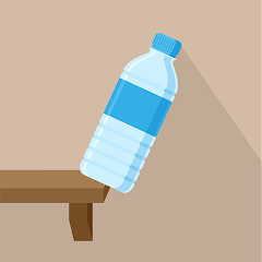Dd Bottle Flip
